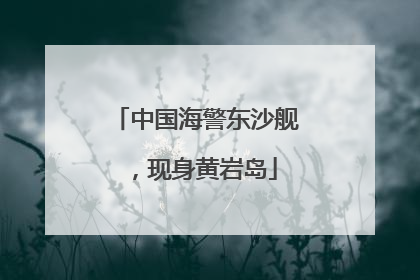 中国海警东沙舰，现身黄岩岛