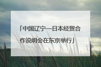 中国辽宁—日本经贸合作说明会在东京举行