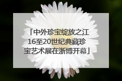 中外珍宝绽放之江 16至20世纪典藏珍宝艺术展在浙博开幕