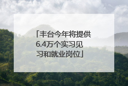 丰台今年将提供6.4万个实习见习和就业岗位
