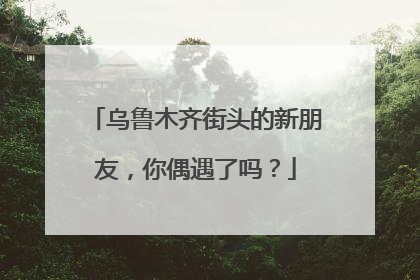 乌鲁木齐街头的新朋友，你偶遇了吗？