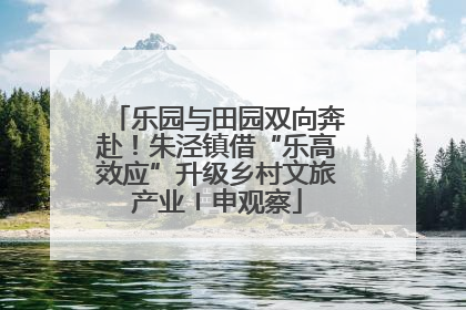 乐园与田园双向奔赴！朱泾镇借“乐高效应”升级乡村文旅产业〡申观察