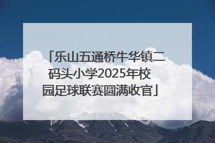 乐山五通桥牛华镇二码头小学2025年校园足球联赛圆满收官