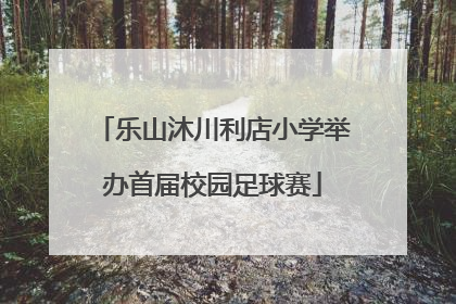 乐山沐川利店小学举办首届校园足球赛