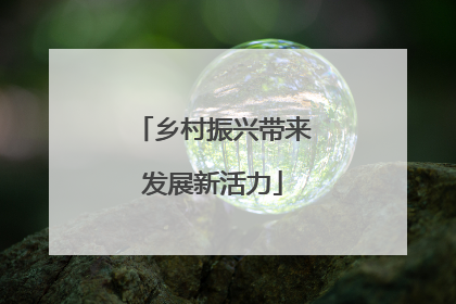 乡村振兴带来发展新活力