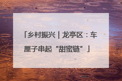 乡村振兴｜龙亭区：车厘子串起“甜蜜链”