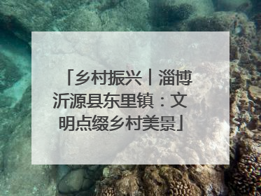 乡村振兴︱淄博沂源县东里镇：文明点缀乡村美景