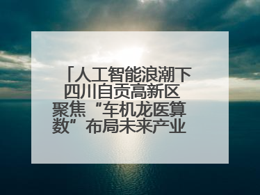 人工智能浪潮下 四川自贡高新区聚焦“车机龙医算数”布局未来产业丨美好生活有“盐”味