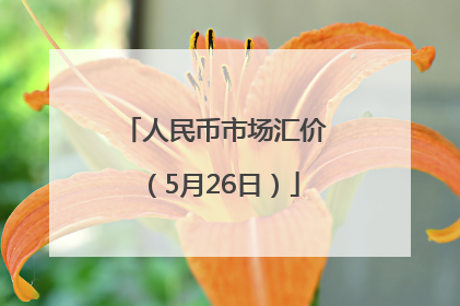 人民币市场汇价（5月26日）