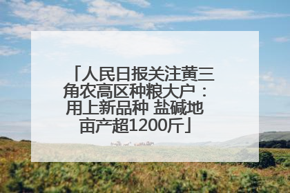 人民日报关注黄三角农高区种粮大户：用上新品种 盐碱地亩产超1200斤
