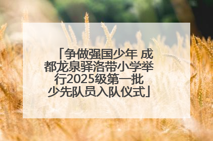 争做强国少年 成都龙泉驿洛带小学举行2025级第一批少先队员入队仪式