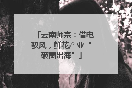 云南师宗：借电驭风，鲜花产业“破圈出海”