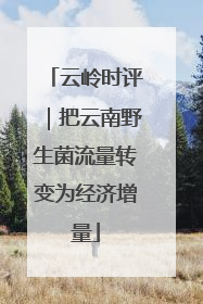 云岭时评｜把云南野生菌流量转变为经济增量