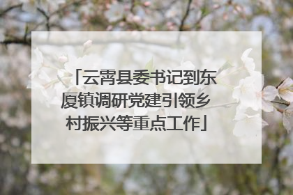 云霄县委书记到东厦镇调研党建引领乡村振兴等重点工作