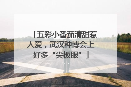 五彩小番茄清甜惹人爱，武汉种博会上好多“尖板眼”