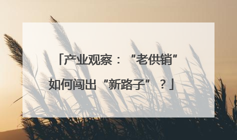 产业观察：“老供销”如何闯出“新路子”？