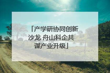 产学研协同创新沙龙 舟山科企共谋产业升级