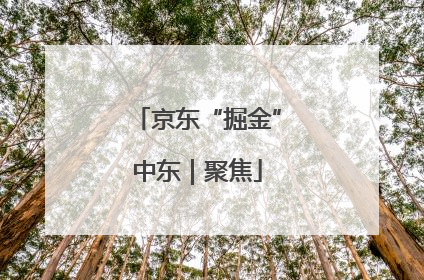 京东“掘金”中东｜聚焦