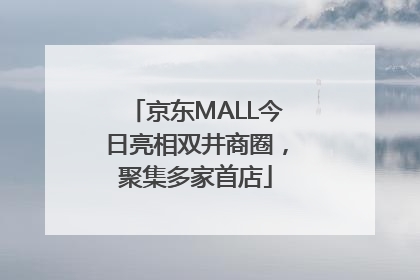 京东MALL今日亮相双井商圈，聚集多家首店