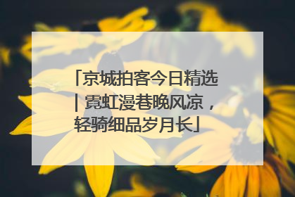 京城拍客今日精选｜霓虹漫巷晚风凉，轻骑细品岁月长