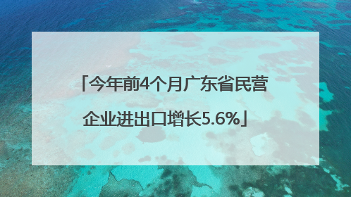 今年前4个月广东省民营企业进出口增长5.6%