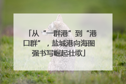 从“一群港”到“港口群”，盐城港向海图强书写崛起壮歌