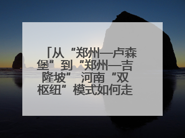 从“郑州—卢森堡”到“郑州—吉隆坡” 河南“双枢纽”模式如何走向全球