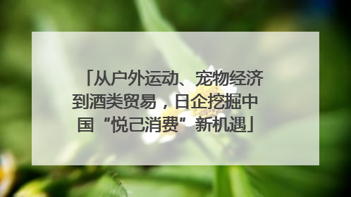 从户外运动、宠物经济到酒类贸易，日企挖掘中国“悦己消费”新机遇