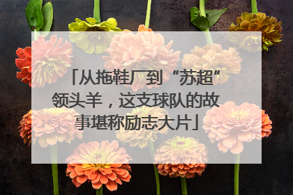 从拖鞋厂到“苏超”领头羊，这支球队的故事堪称励志大片