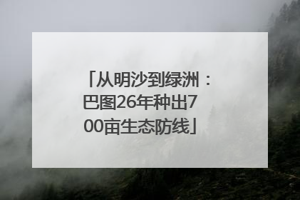 从明沙到绿洲：巴图26年种出700亩生态防线