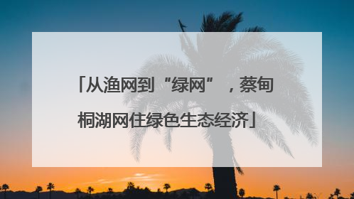 从渔网到“绿网”，蔡甸桐湖网住绿色生态经济