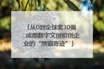 从0到全球奖30强：成都数字文创初创企业的“熊猫奇迹”
