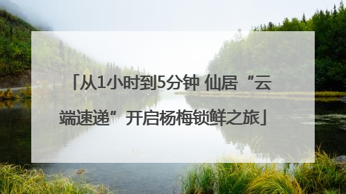 从1小时到5分钟 仙居“云端速递”开启杨梅锁鲜之旅