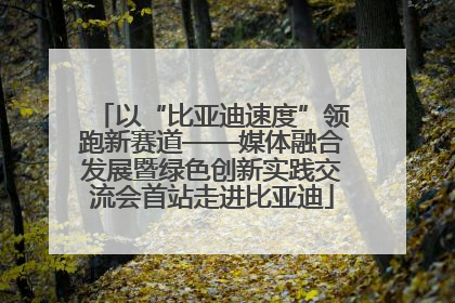以“比亚迪速度”领跑新赛道——媒体融合发展暨绿色创新实践交流会首站走进比亚迪