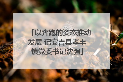 以奔跑的姿态推动发展 记安吉县孝丰镇党委书记沈强