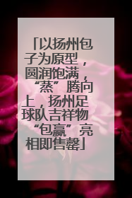以扬州包子为原型，圆润饱满，“蒸”腾向上，扬州足球队吉祥物“包赢”亮相即售罄