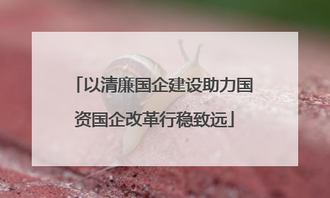 以清廉国企建设助力国资国企改革行稳致远