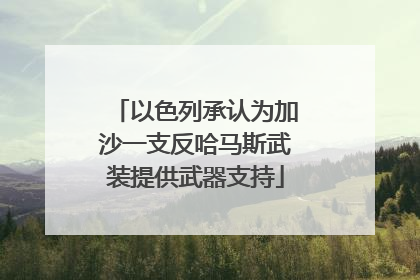 以色列承认为加沙一支反哈马斯武装提供武器支持