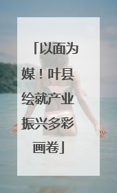 以面为媒！叶县绘就产业振兴多彩画卷