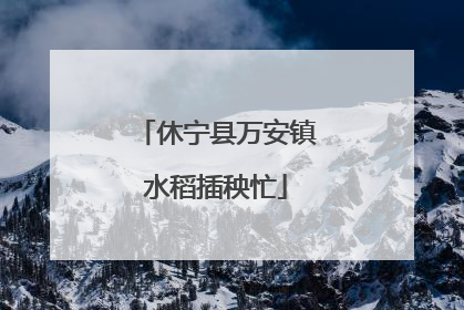 休宁县万安镇水稻插秧忙