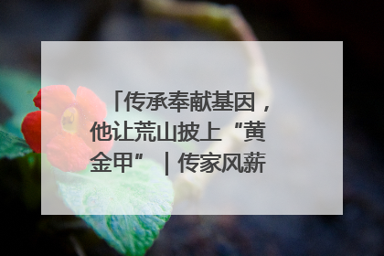 传承奉献基因，他让荒山披上“黄金甲”｜传家风薪火 颂家国情深