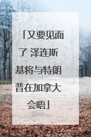 又要见面了 泽连斯基将与特朗普在加拿大会晤