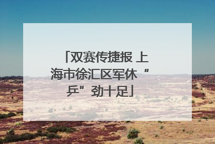 双赛传捷报 上海市徐汇区军休“乒”劲十足
