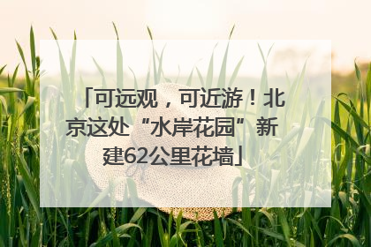可远观，可近游！北京这处“水岸花园”新建62公里花墙