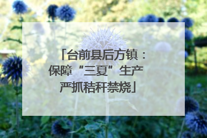 台前县后方镇：保障“三夏”生产 严抓秸秆禁烧