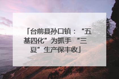 台前县孙口镇：“五基四化”为抓手 “三夏”生产保丰收