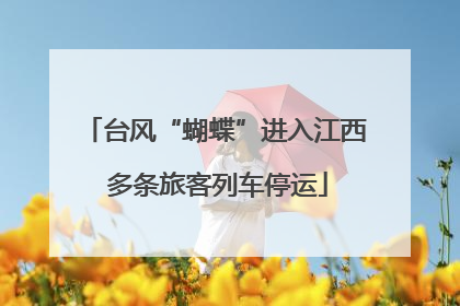 台风“蝴蝶”进入江西 多条旅客列车停运