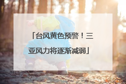 台风黄色预警！三亚风力将逐渐减弱