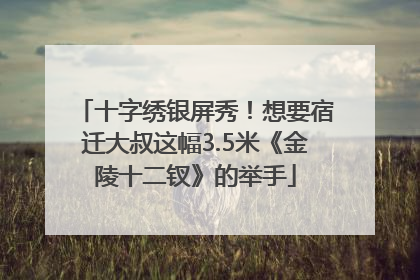 十字绣银屏秀！想要宿迁大叔这幅3.5米《金陵十二钗》的举手