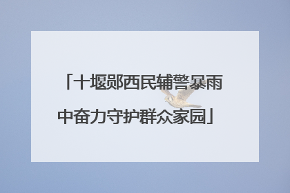 十堰郧西民辅警暴雨中奋力守护群众家园